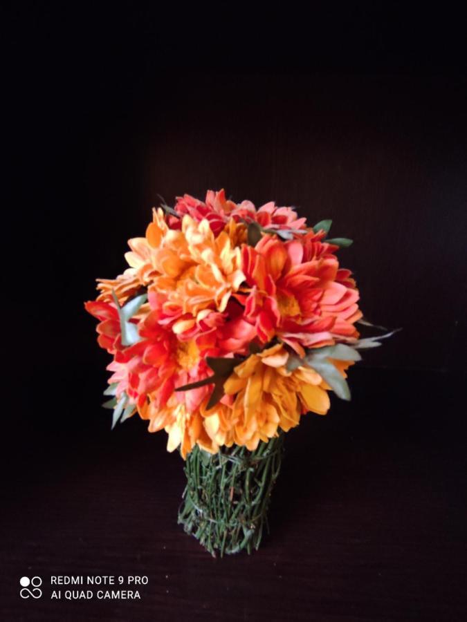 피렌체 Il Giglio Di Careggi 아파트 외부 사진